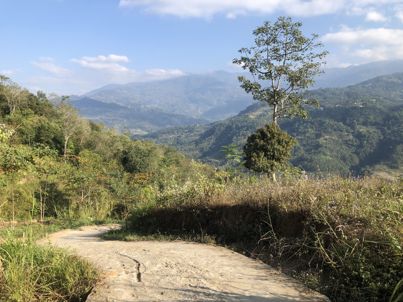 6-Day Hoang Su Phi Bike Tour: Northern Vietnam's Terraced Rice Field Adventure